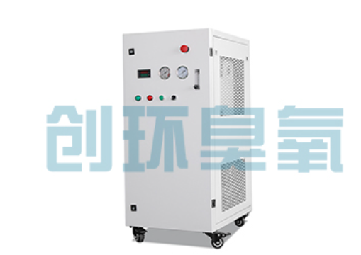 平山石斑鱼养殖水质调控完整指南:臭氧发生器配置与操作步骤